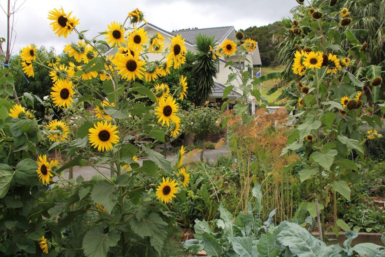 U Beauty - B & B Whangarei Luaran gambar